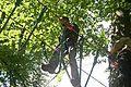 20100729_1523_IMG_8273.jpg