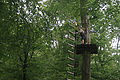 20100729_1603_IMG_8334.jpg