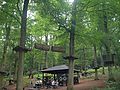 DSCN1995.jpg