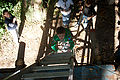 091010121250-_MG_8846.jpg