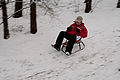 20101219123816_IMG_6265.jpg