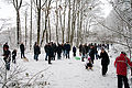 20101219124648_IMG_6285.jpg