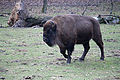 20110205_143435_IMG_6523.jpg