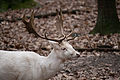 20110205_143721_IMG_6526.jpg