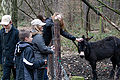 Album: Weekend Ssterseel