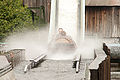 20110528_110130__MG_9495.jpg