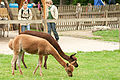 20110528_163019__MG_9525.jpg