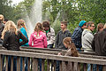 20110529_143145__MG_9618.jpg