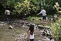 20110709_161451_IMG_0460.jpg