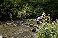 20110709_161529_IMG_0468.jpg