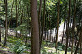 20110710_112505_IMG_0641.jpg