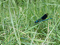 20110711_094942_IMG_0792.jpg