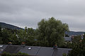 20110713_095635_IMG_1063.jpg