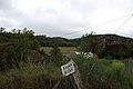 20110713_104849_IMG_1108.jpg