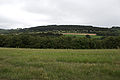 20110713_111811_IMG_1127.jpg