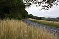 20110713_130614_IMG_1162.jpg