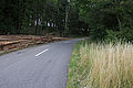 20110713_130626_IMG_1164.jpg