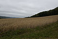20110713_130629_IMG_1166.jpg