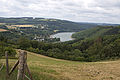 20110714_110639_IMG_1207.jpg