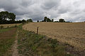 20110714_110856_IMG_1220.jpg