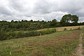 20110714_110859_IMG_1221.jpg