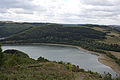 20110714_113035_IMG_1241.jpg