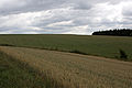 20110714_113658_IMG_1243.jpg