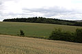20110714_113659_IMG_1244.jpg