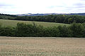 20110714_113701_IMG_1245.jpg