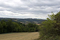 20110714_113704_IMG_1247.jpg