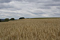 20110714_113821_IMG_1253.jpg