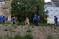 20110715_114721_IMG_1353.jpg