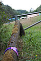 20110715_162633_IMG_6629.jpg