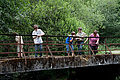 20110715_162929_IMG_6635.jpg