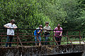 20110715_162942_IMG_6636.jpg