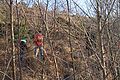 IMG_6835_2011-12-18_12-47-53.jpg