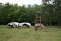 2012-05-12_17-21-12_IMG_7104.jpg