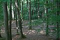 2013-07-02_10-37-30_IMG_8150.jpg