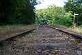 2013-07-02_10-47-43_IMG_8154.jpg