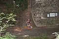 2013-07-02_15-29-58_IMG_8222.jpg