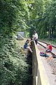 2013-07-02_16-01-17_IMG_8241.jpg