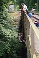 2013-07-02_16-12-13_IMG_8253.jpg