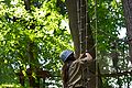 2013-07-03_17-30-28_CRW_1574.jpg