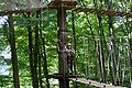 2013-07-03_17-30-54_CRW_1576.jpg