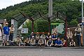2013-07-05_11-47-33_IMG_8265.jpg