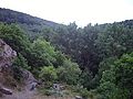 2015-07-19_21-38-44_IMGP1678.jpg
