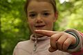 2015-05-30_11-29-06_2015-05-30_11-29-06_IMG_8988.jpg