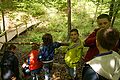 2015-05-30_12-15-52_2015-05-30_12-15-52_IMG_8997.jpg