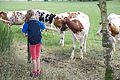 2014-07-14_12-54-48_2014-07-14_12-54-48_IMG_8572.jpg