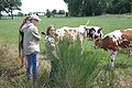 2014-07-14_12-55-06_2014-07-14_12-55-06_IMG_8573.jpg